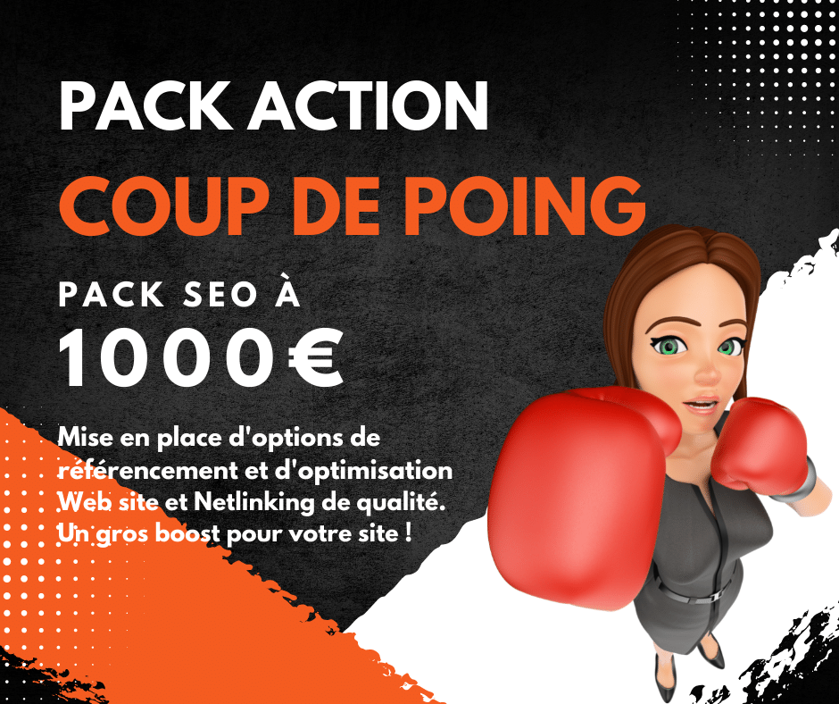 Pack SEO coup de poing 1000