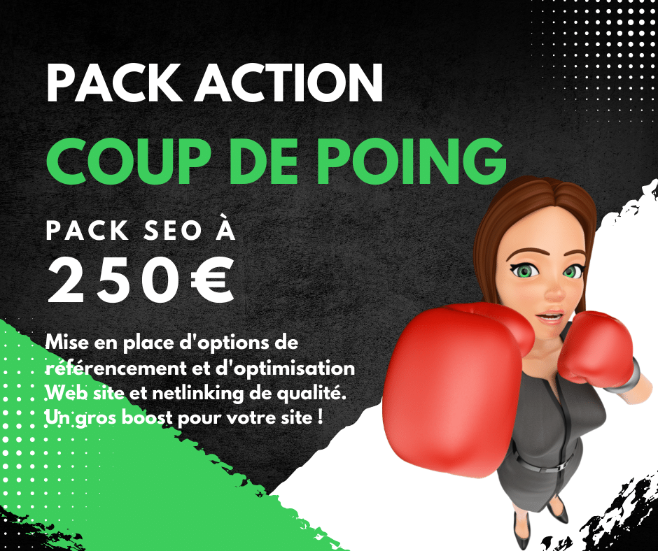 Pack SEO coup de poing 250