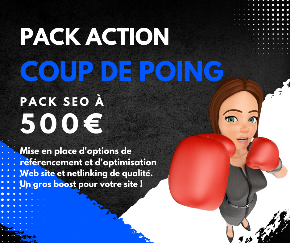 Pack SEO coup de poing 500